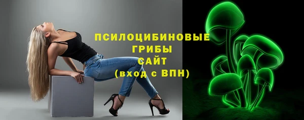 мдпв Козловка