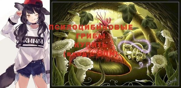 герыч Кодинск