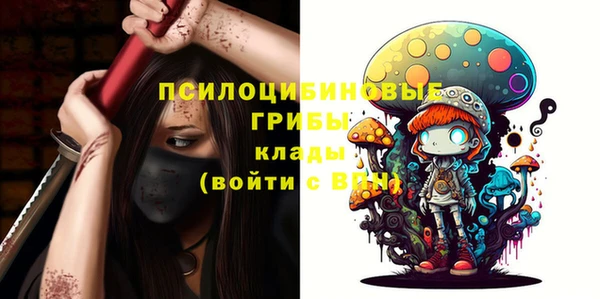 мдпв Козловка