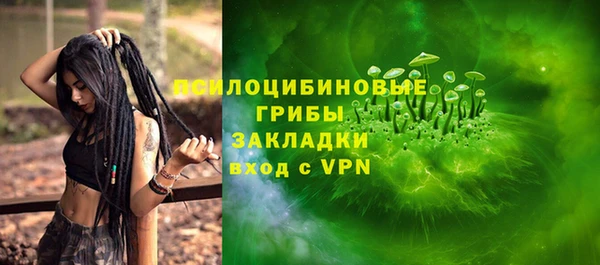 мдпв Козловка