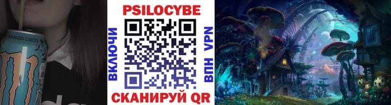 Купить  Краснообск  Псилоцибиновые грибы Psilocybine cubensis 