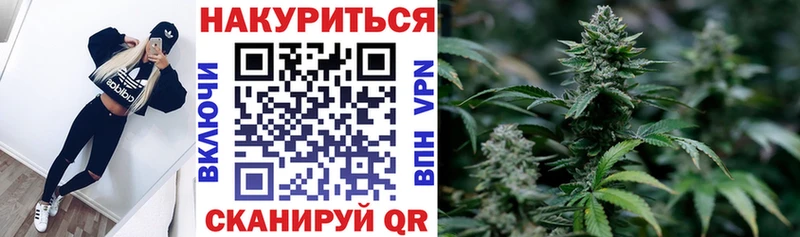Купить закладки  Краснообск  Бошки марихуана семена 